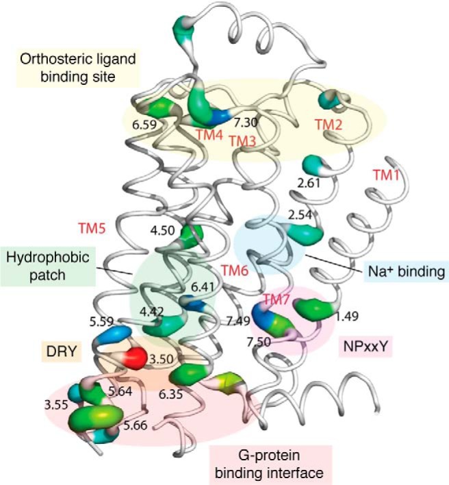 Figure 3.