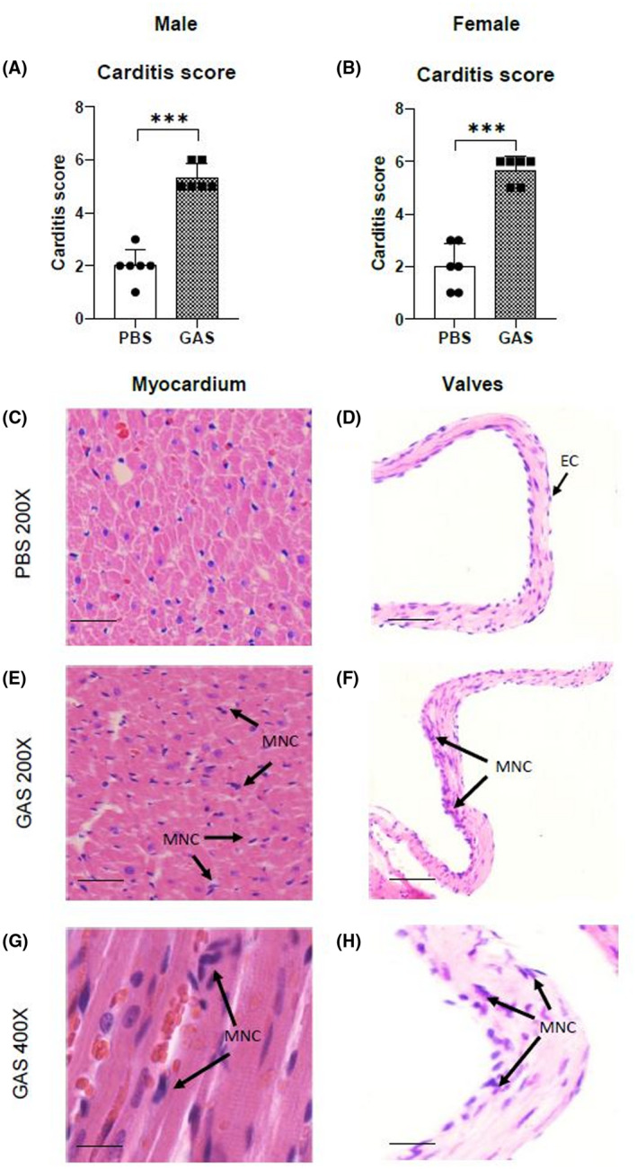 FIGURE 4