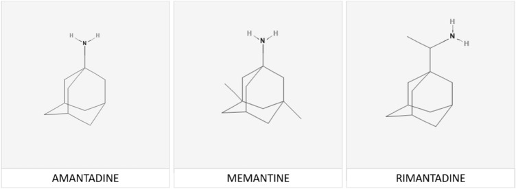 Fig. 1