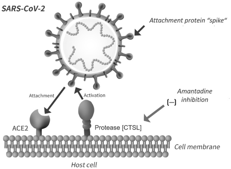 Fig. 2