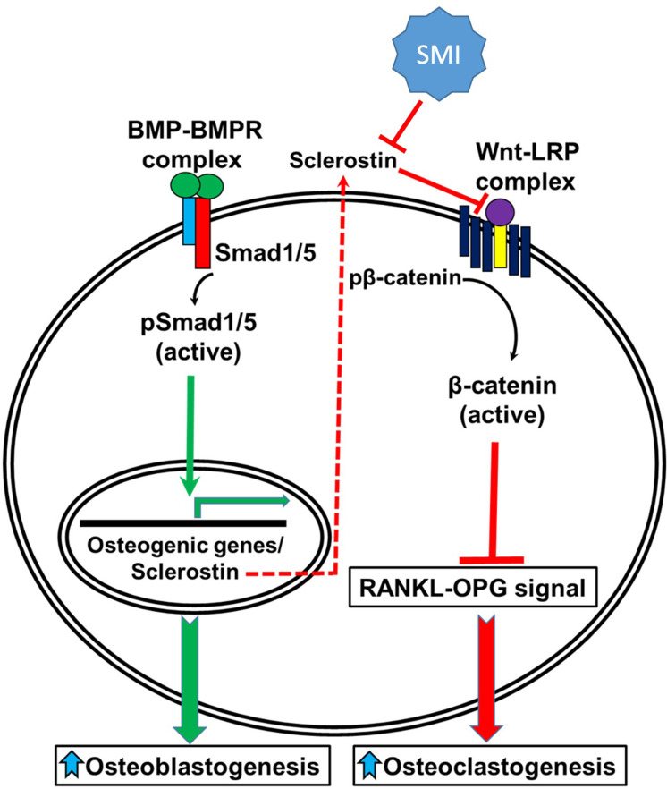 Figure 10.