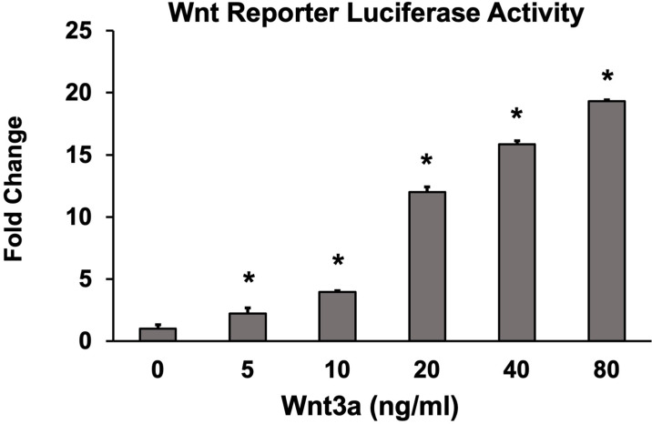 Figure 1—figure supplement 1.