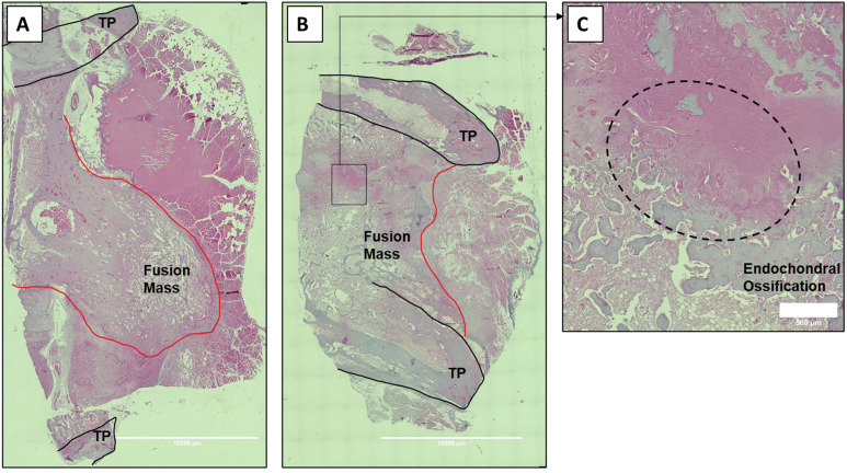 Figure 9.