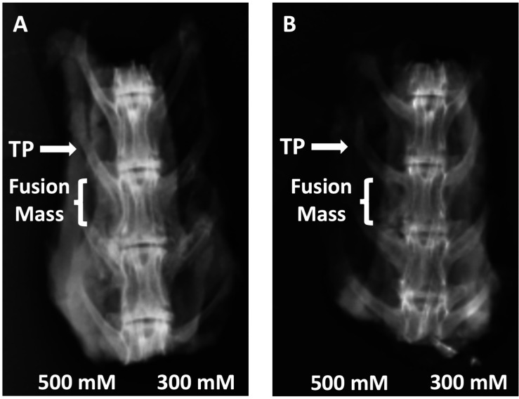 Figure 9—figure supplement 1.