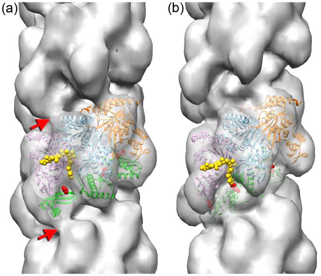 Fig. 4