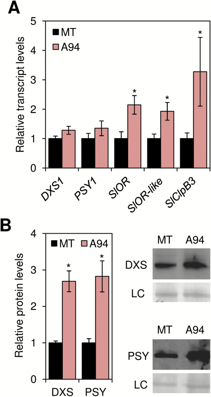 Fig. 6.