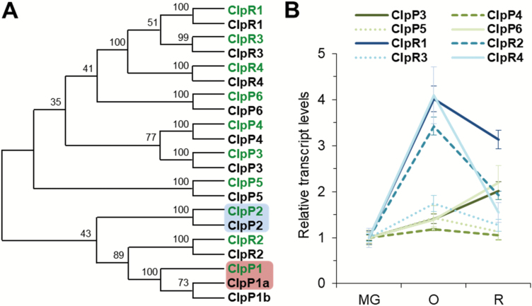 Fig. 2.