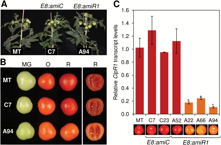 Fig. 3.