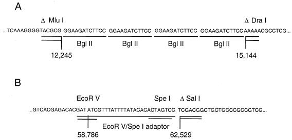 FIG. 5