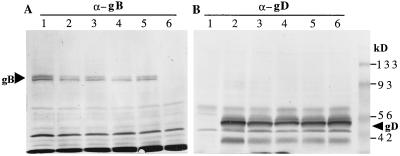 FIG. 7