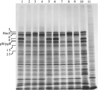 FIG. 6