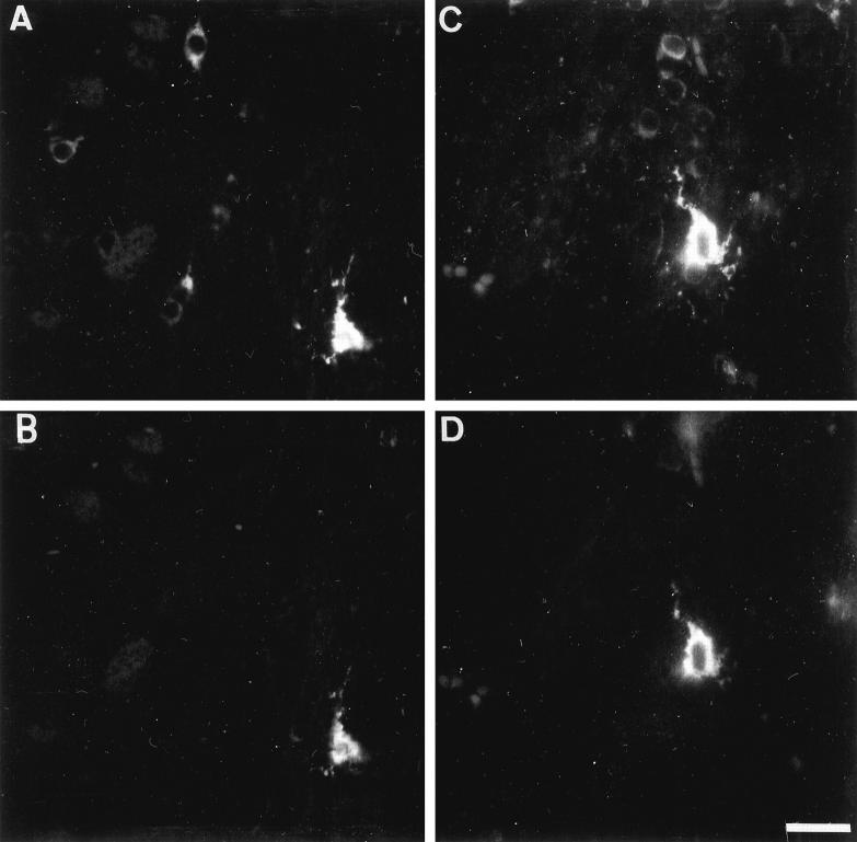 Figure 9.