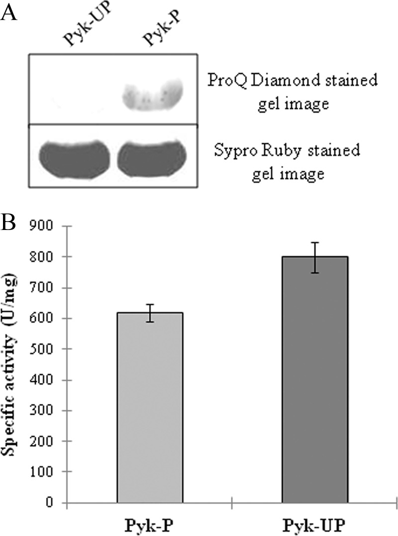 FIGURE 9.