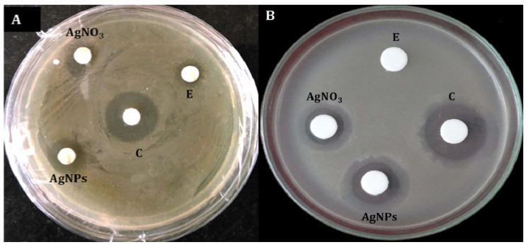 Figure 9