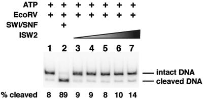 FIG.6.