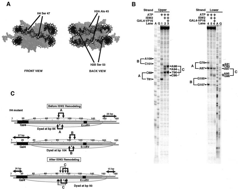 FIG. 2.