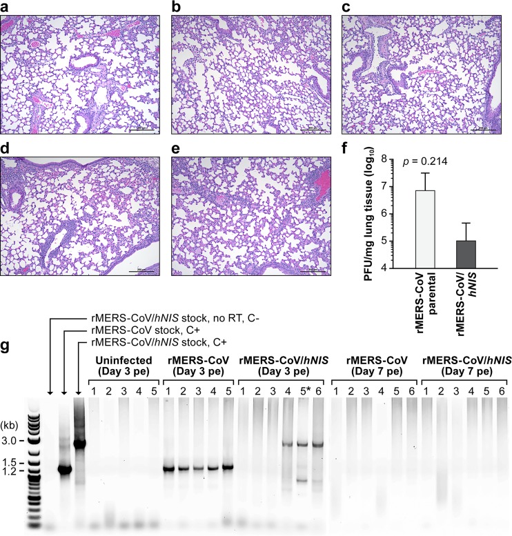 FIG 6