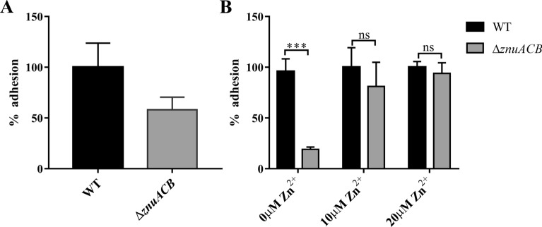 Figure 4