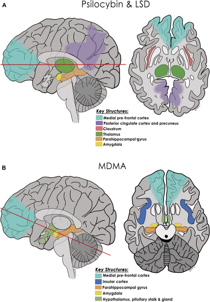 FIGURE 4.