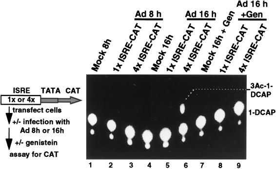 FIG. 5