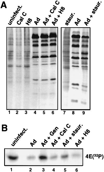 FIG. 7