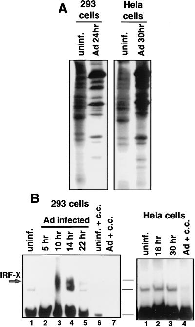 FIG. 9