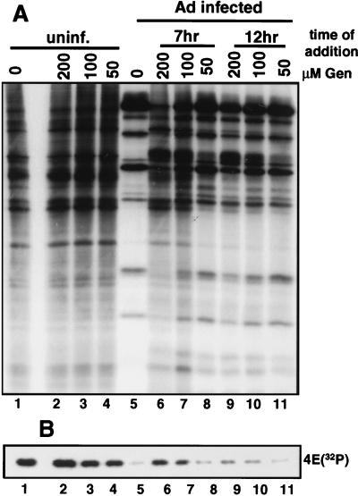 FIG. 6