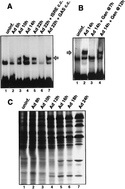 FIG. 1