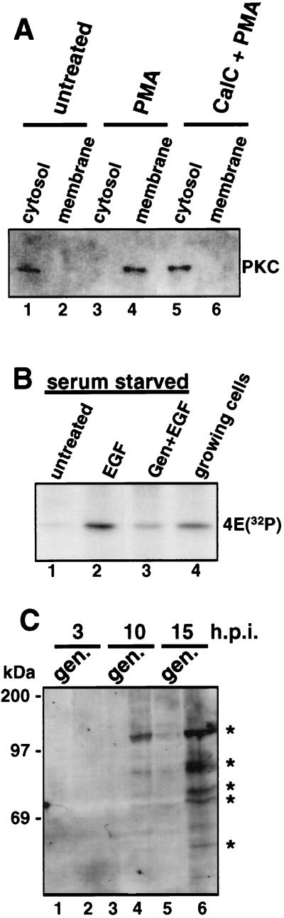 FIG. 8