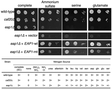 Figure 4.