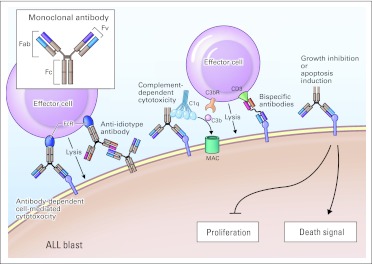 Fig 1.