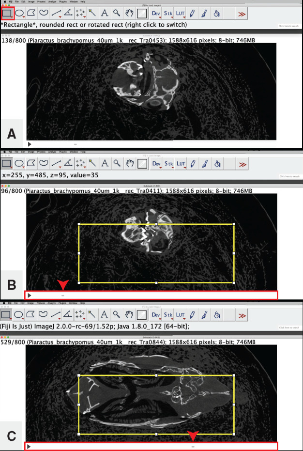 Fig. 6