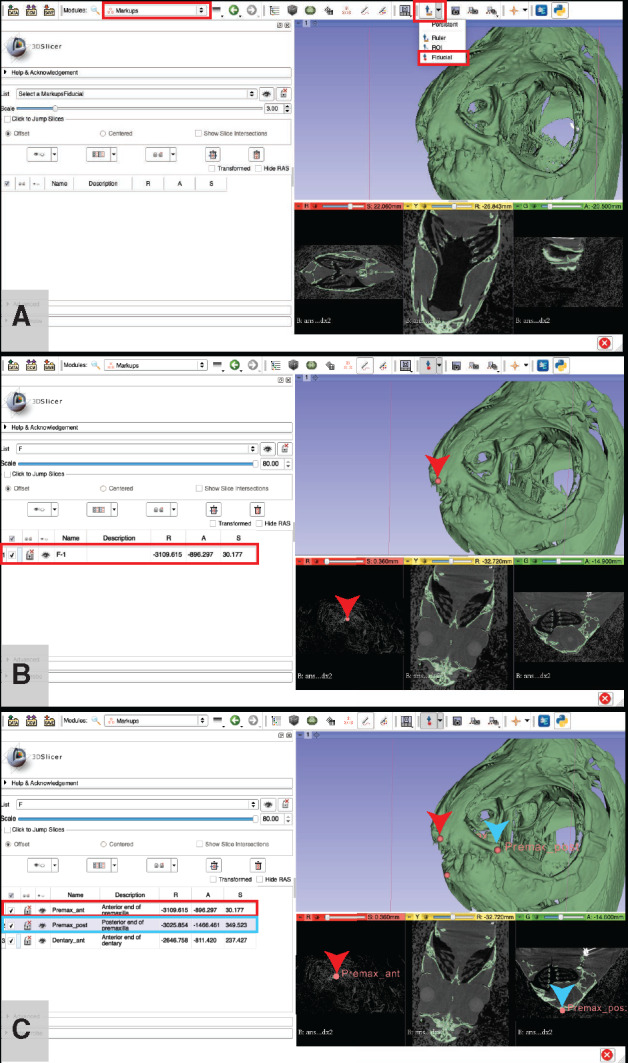 Fig. 17