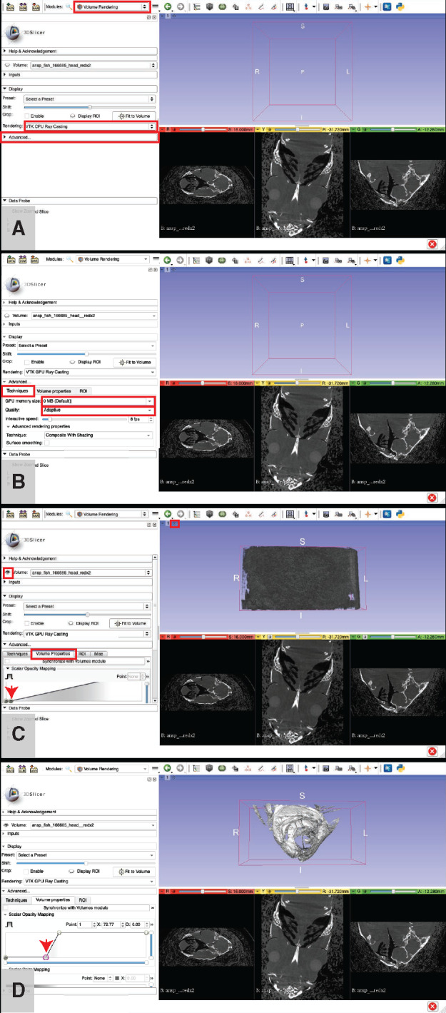 Fig. 12