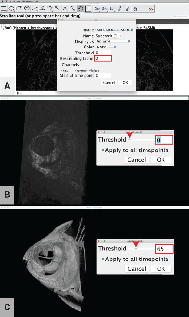 Fig. 7