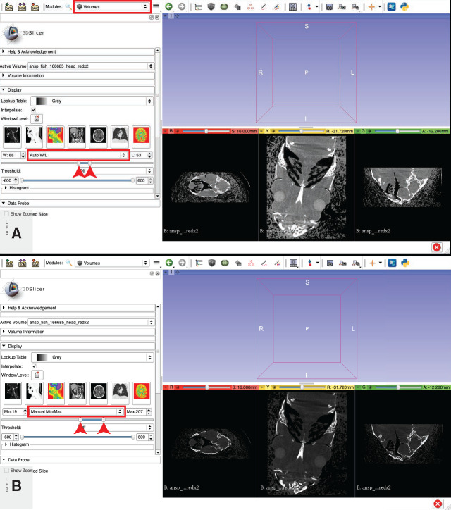 Fig. 10