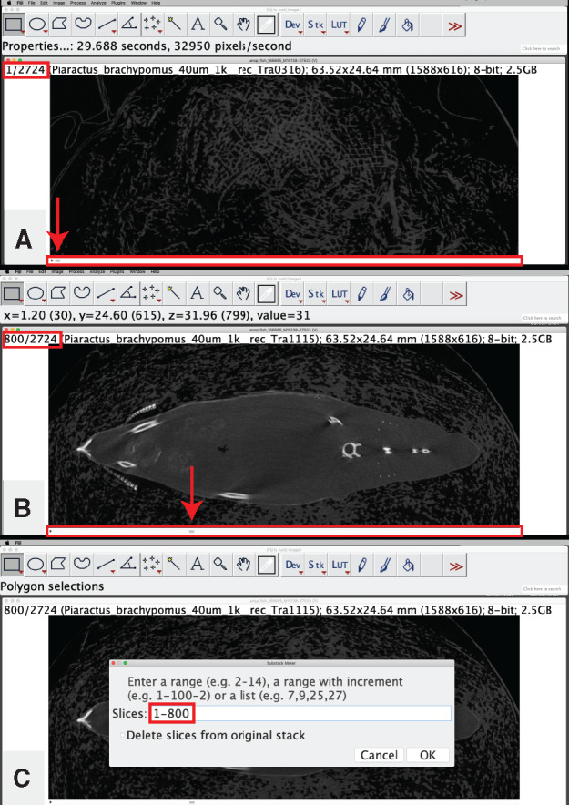 Fig. 5