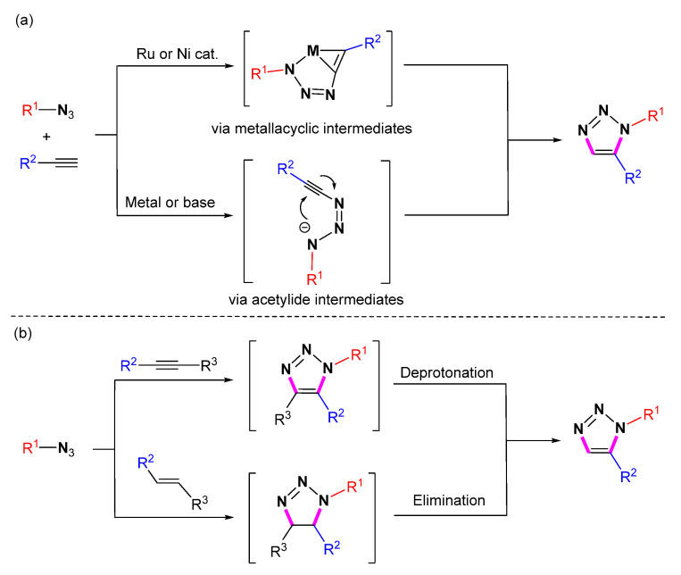 Scheme 2