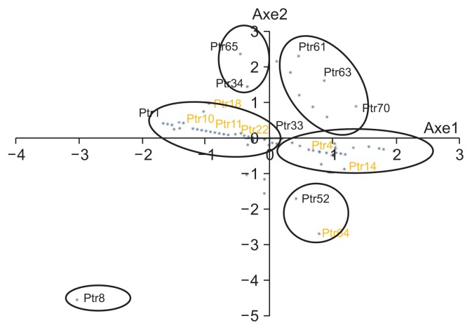 Fig. 8