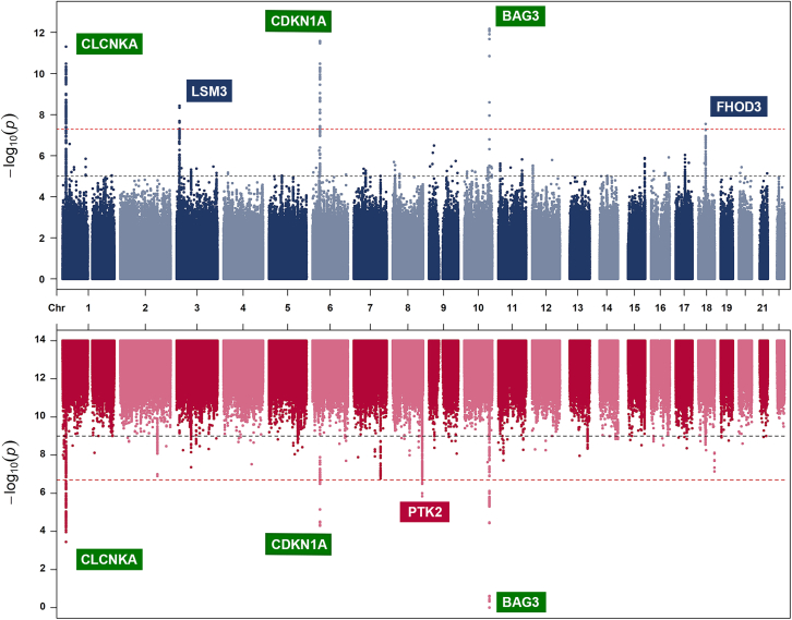 Figure 3