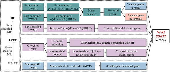 Figure 6