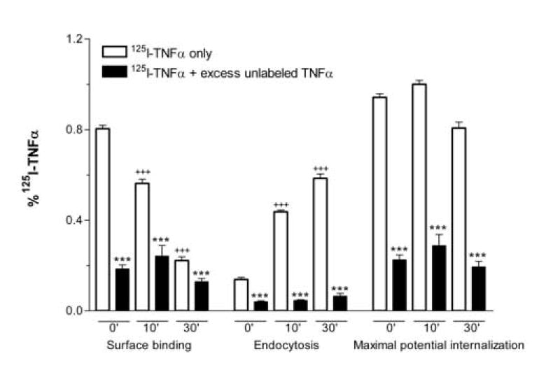 Fig.1