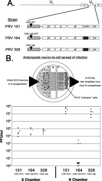 FIG. 2.