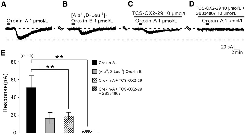 Fig. 4