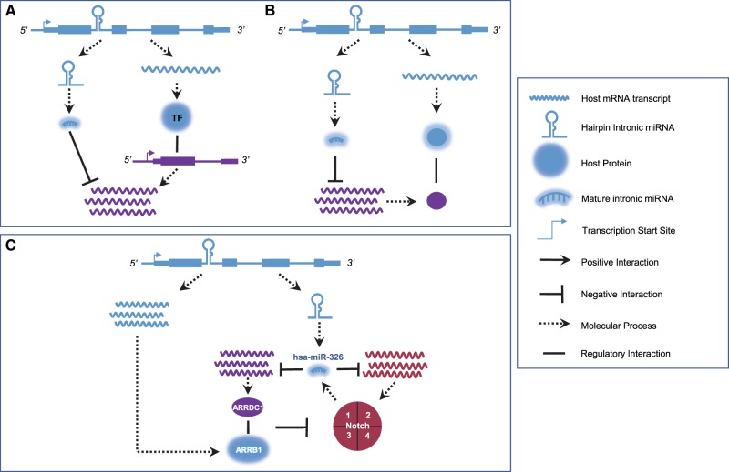 FIGURE 4.