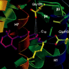 F<sc>IGURE</sc> 1