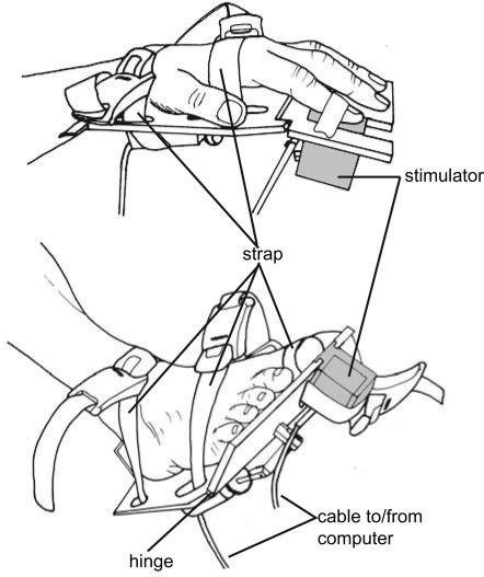 Fig. 3.