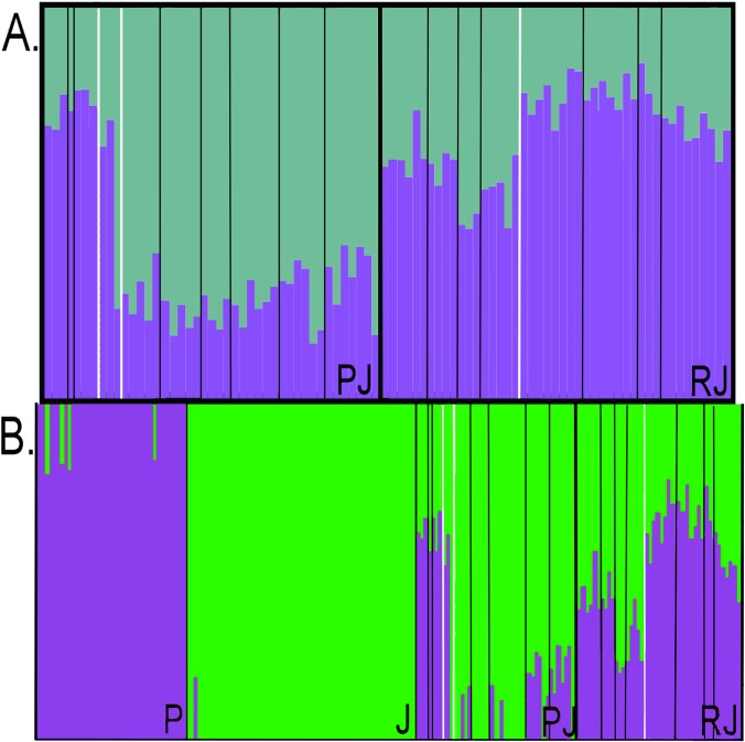 Fig 5