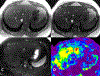 Fig. 8.