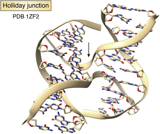 Figure 5